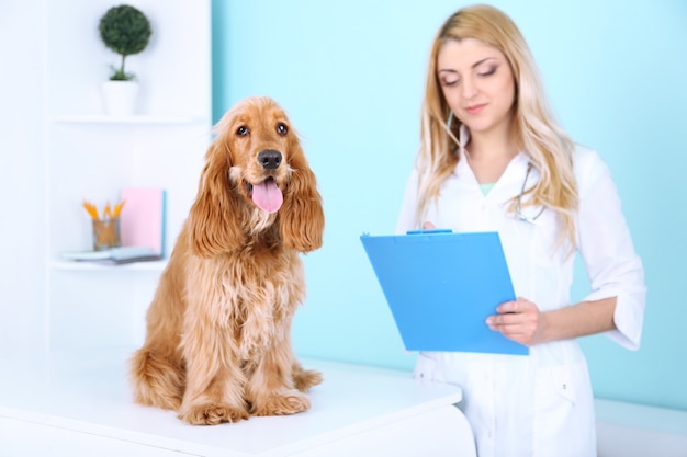 Hermosa joven veterinaria con perro en clínica