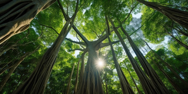 una hermosa jungla verde exuberante un gran árbol