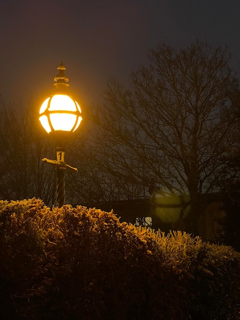 Hermosa lámpara de calle antigua que brilla con una cálida luz amarilla en la noche