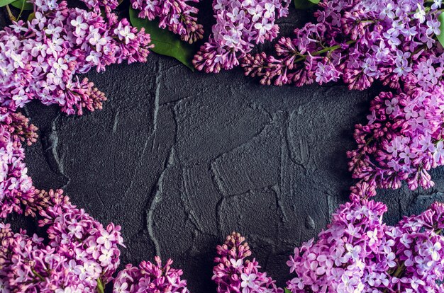 Foto hermosa lila sobre fondo de piedra oscura