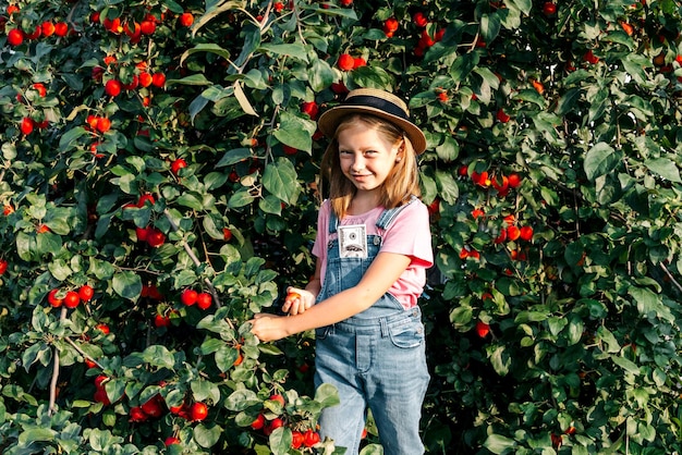 Una hermosa y linda niña granjera recoge una jugosa manzana roja madura de un árbol en una canasta