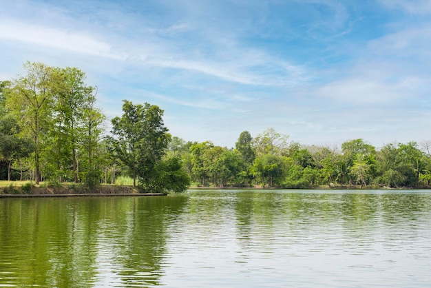 Hermosa luz de la mañana en un parque público con lago y un gran árbol verde fresco y cielo azul en un día despejado