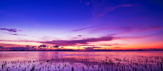 Foto hermosa luz puesta de sol o amanecer sobre el mar paisaje naturaleza fondo