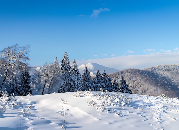 hermosa mañana fría de invierno fondo de nieve con árboles bosque y montaña en el fondo