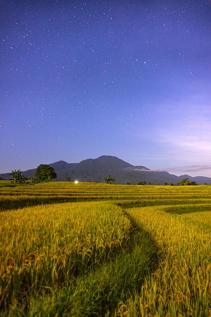 Hermosa mañana ver indonesia Panorama Paisaje arrozales con belleza color y cielo natural l