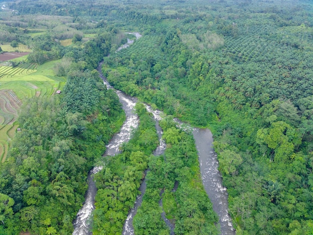 Hermosa mañana ver indonesia Panorama Paisaje arrozales con belleza color y cielo natural l