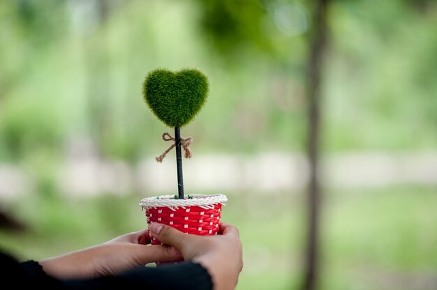 Hermosa mano verde y corazón imágenes concepto de día de San Valentín con espacio de copia