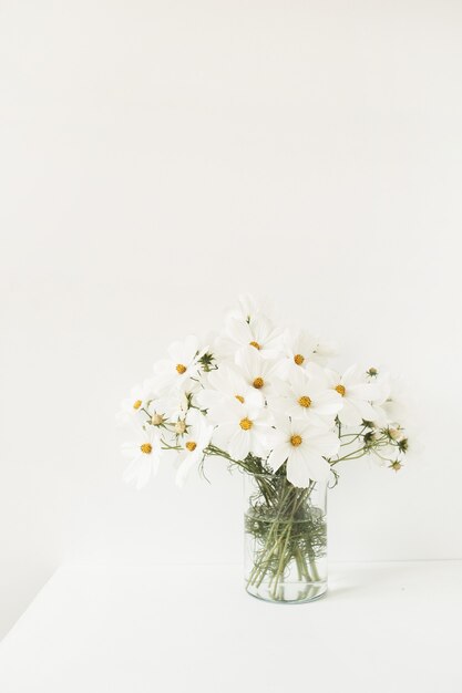 Una hermosa con manzanilla blanca, flores de margarita en un jarrón de pie sobre una mesa blanca