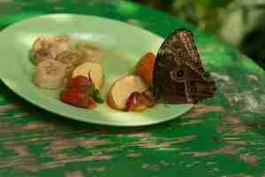 Foto hermosa mariposa, insecto en el fondo de la naturaleza verde, fotografiado en schmetterlinghaus,