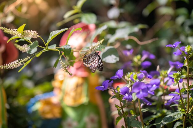 hermosa mariposa en rama de árbol