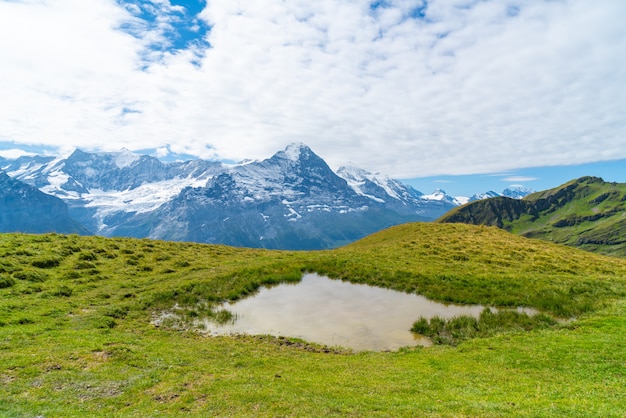 Hermosa montaña de los Alpes en Grindelwald, Suiza