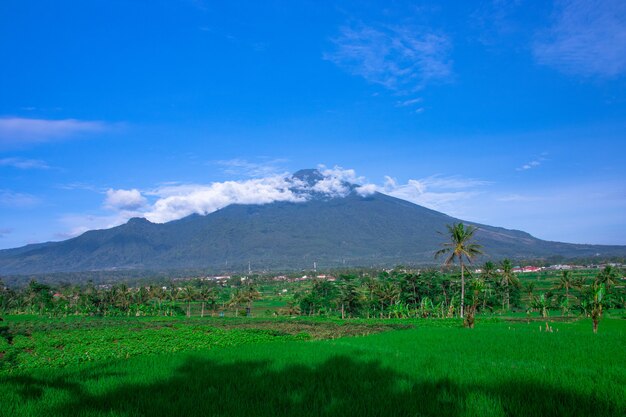 Hermosa montaña ceremai con cielo azul y campos de arroz verde