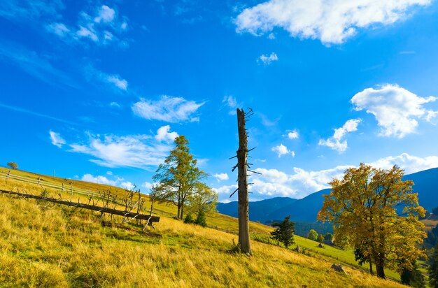 Hermosa montaña de otoño y tronco de árbol seco en la ladera de la montaña (Cárpatos. Ucrania)