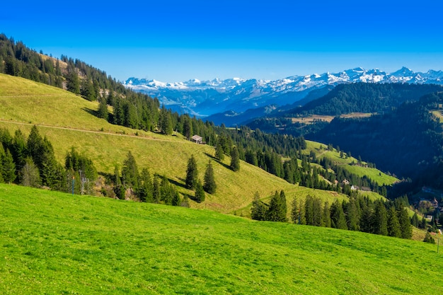 Hermosa montaña suiza en verano