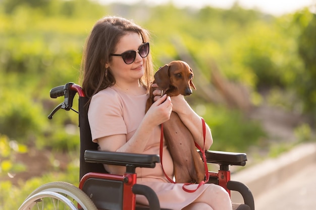 hermosa morena en silla de ruedas en verano en un paseo con un lindo perro dachshund