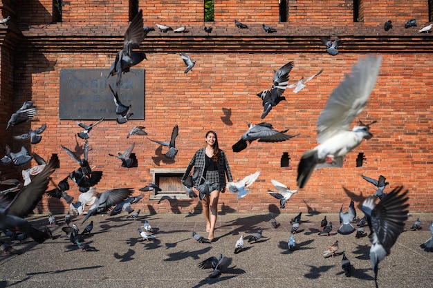 Hermosa mujer asiática brillantemente caminando a través de la bandada de palomas volando en la puerta de Tha Phae, Chiang Mai, Tailandia