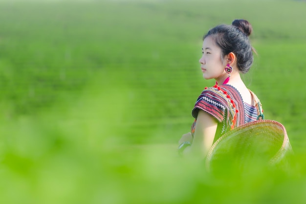 Hermosa mujer asiática Cosechando hojas de té en las hojas de té de la mañana en el campo del té