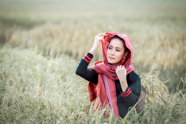 Hermosa mujer, granjero tailandés cosechando campos de arroz