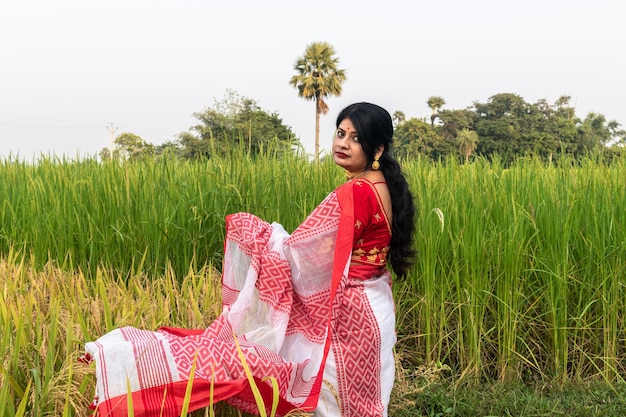 Foto una hermosa mujer india con un sari tradicional y joyas se encuentra en el fondo de un campo de arroz