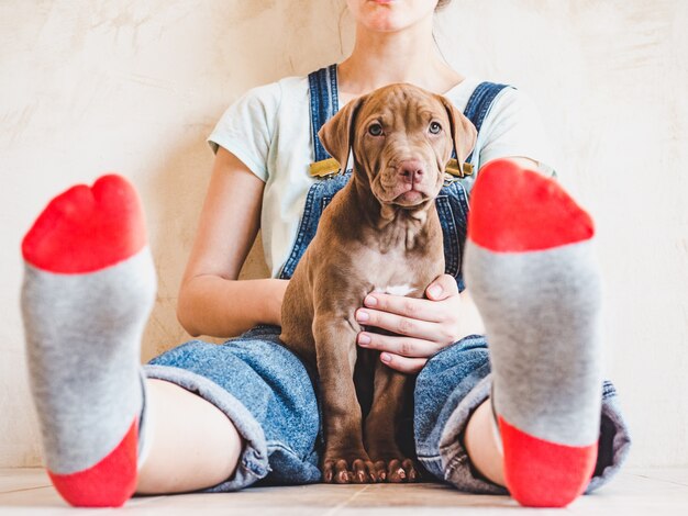 Hermosa mujer y joven cachorro.