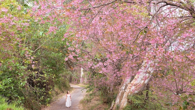 Hermosa mujer joven con flores de cerezo en flor rosa flores de sakura