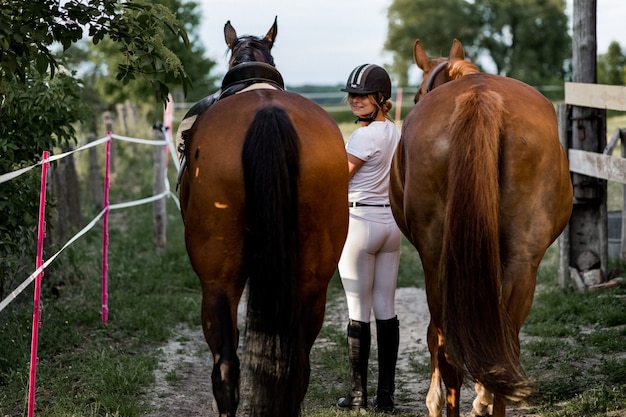 Hermosa mujer lleva caballos de la sesión de entrenamiento en la tarde de verano. Foto de la espalda.