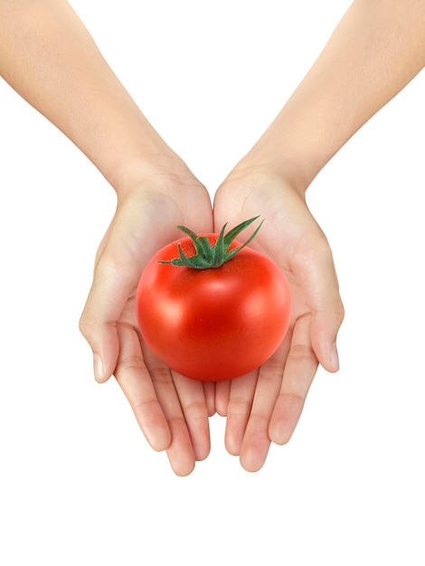 Foto hermosa mujer mano sosteniendo un tomate fresco sobre un fondo blanco aislado