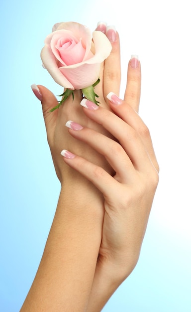 Foto hermosa mujer manos con rosa sobre fondo azul.