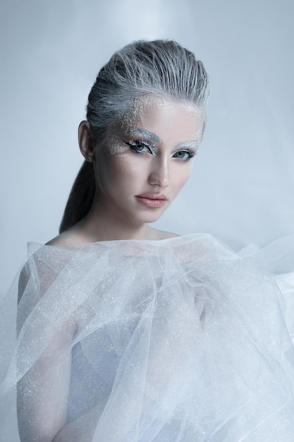 hermosa mujer con maquillaje de reina de invierno, belleza congelada