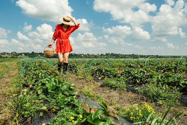 Hermosa mujer en vestido rojo recogiendo fresas en la granja