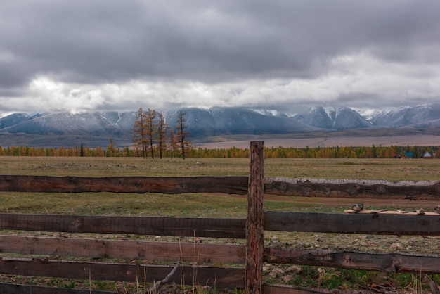 Hermosa naturaleza de Altai Krai, espacio abierto.