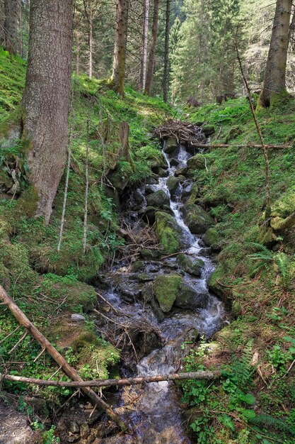 Hermosa naturaleza y arroyos en Austria