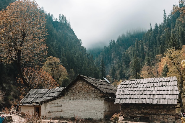 Hermosa naturaleza y bosque del Parque Nacional Rara en Mugu, Nepal