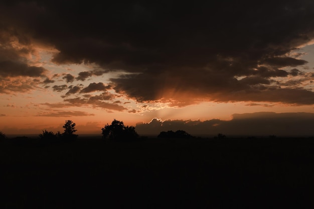 Hermosa naturaleza brillante puesta de sol en la noche