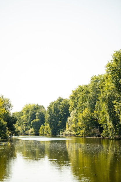 Hermosa naturaleza en un día soleado