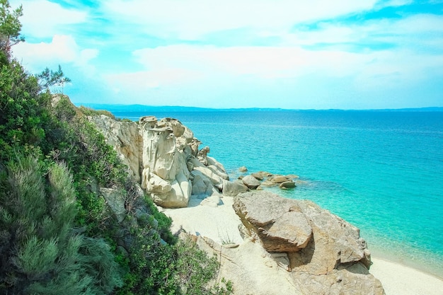 Hermosa naturaleza junto al mar en la naturaleza en el fondo del parque