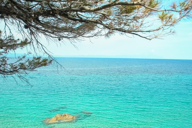 Hermosa naturaleza junto al mar en la naturaleza en el fondo del parque