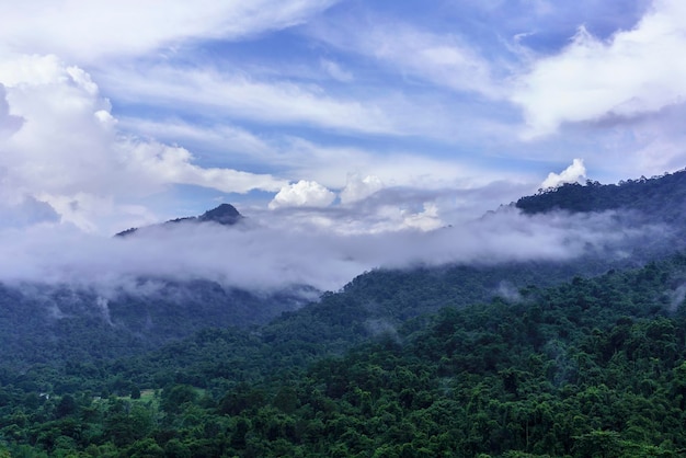 Hermosa naturaleza de niebla cuesta arriba en las cimas de las montañas después de llover, Nakhon Nayok, Tailandia