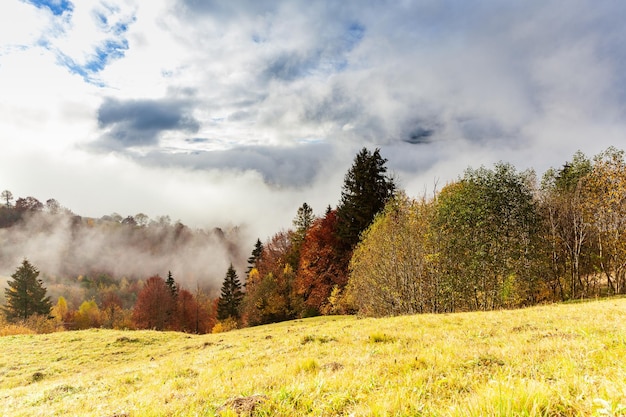 La hermosa naturaleza otoñal y la niebla fluyen alrededor de las montañas por la mañana con un sol suave Temporada de otoño en la montaña de los Cárpatos en Ucrania