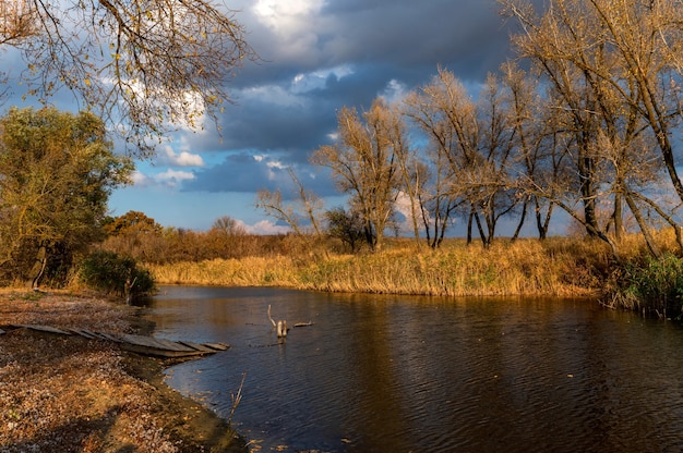 Hermosa naturaleza y paisaje otoñal con árboles amarillos en la orilla del río Don