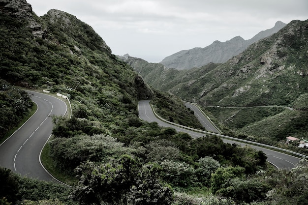 Hermosa naturaleza en Tenerife España