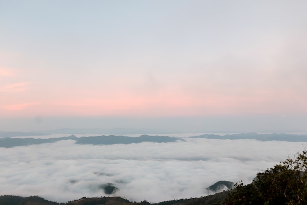 hermosa niebla en la cima de la montaña antes del amanecer