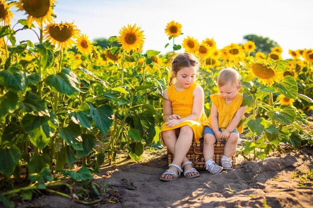 Hermosa niña en campo floreciente de girasol en verano