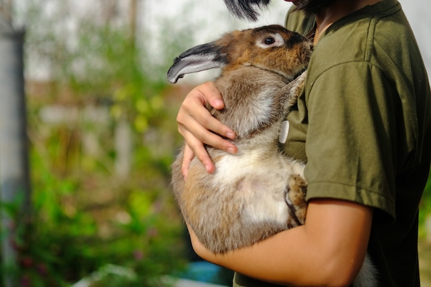 hermosa niña de conejo blanco en la mano