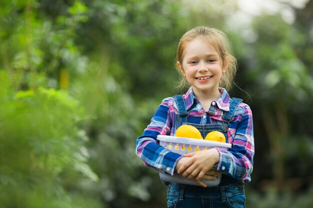 Hermosa niña en el jardín de invernadero con una canasta con limones en sus manos