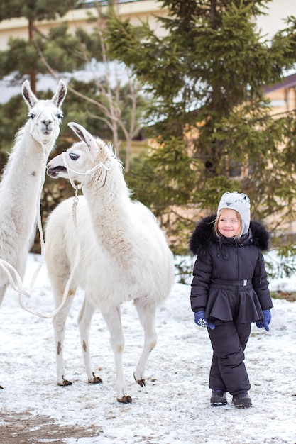 Una hermosa niña pequeña con un abrigo de piel se para con una alpaca en una granja nevada