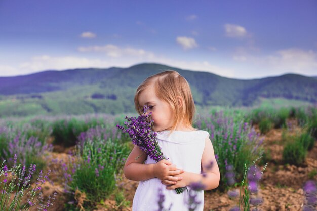 La hermosa niña pequeña con un vestido blanco se para sobre un fondo de campo de lavanda y huele lavanda que sostiene en las manos