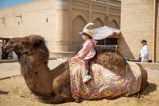 hermosa niña sentada en camello