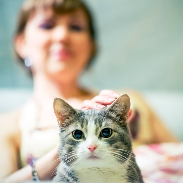 Hermosa niña sonriente o mujer joven y gato, concéntrate en el gato