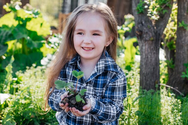 Hermosa niña tiene plántulas de fresa en sus manos